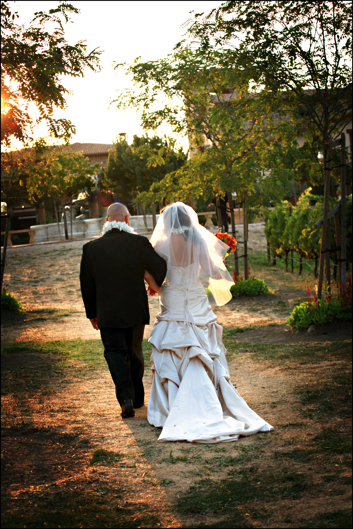 Sacramento-Wedding-Photography-Jacuzzi-Vineyards-Sonoma