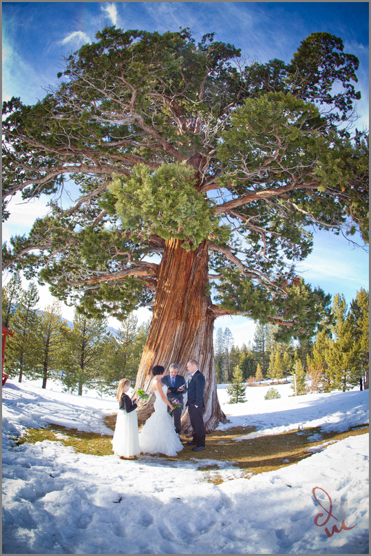 Wedding photography at South Lake Tahoe, CA at Tahoe Paradise Park