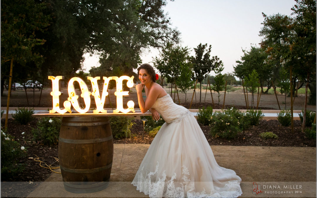 Sacramento Event Photography: Maples Wedding & Event Launch Party