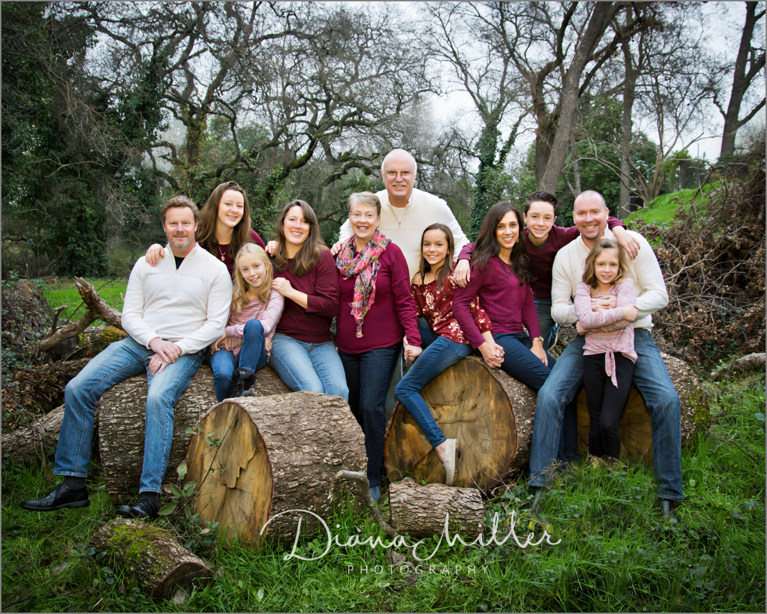 Display Ideas for your Portraits - Diana Miller Photography
