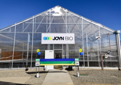 Very large industrial commercial greenhouse